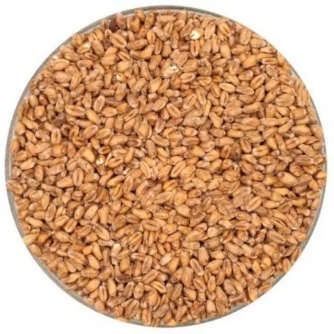 Солод карамельный 150 1кг (Курский)