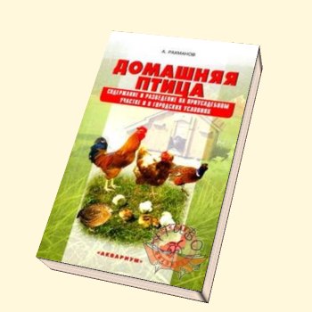Домашняя птица. Содержание и разведение на приус. уч-ке и в город. условиях. (Рахманов А.И.) 