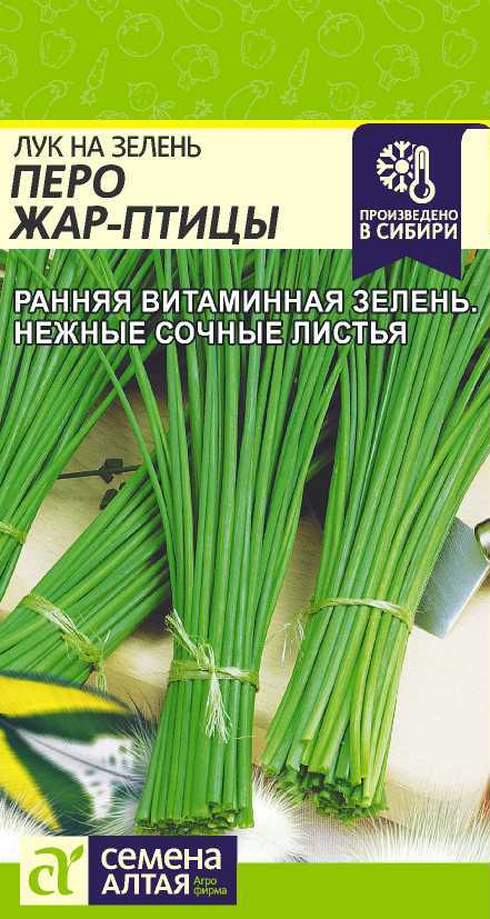 Лук на зелень Перо Жар Птицы 0,5г "Алтай"