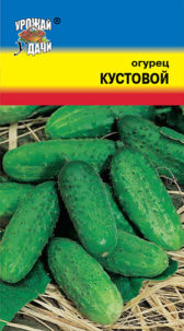 Огурец Кустовой  УУ