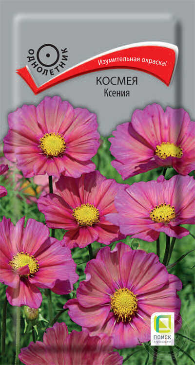 Космея Ксения 10шт "Поиск"
