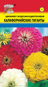 Цинния Калифорнийские Гиганты, смесь,  УУ
