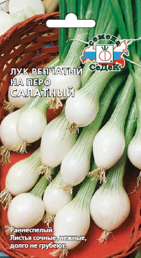 Лук на зелень Салатный 1г "Седек"