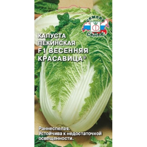 Капуста пекинская Весенняя красавица "Седек"