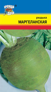 Редька Маргеланская УУ