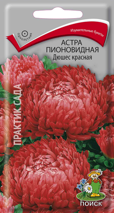 Астра Дюшес Красная пионовидная 0,3г "Поиск"