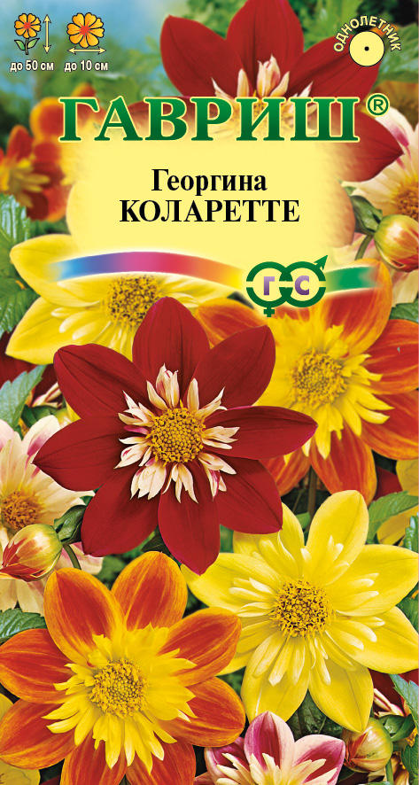 Георгина Коларетте 0,2г