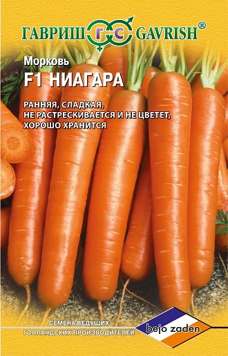 Морковь Ниагара F1, Голландия, 150шт