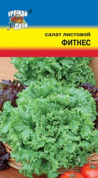Салат Фитнес ц/п УУ