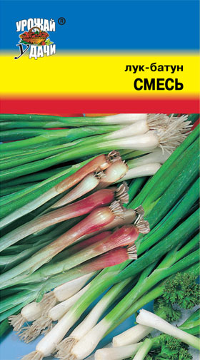 Лук батун Смесь сортов ц/п УУ