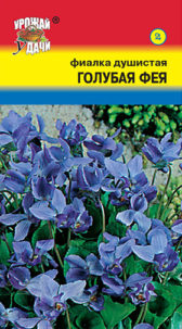 Фиалка Душистая Голубая фея УУ