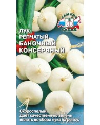 Лук репч. Ледокол "УралДач"