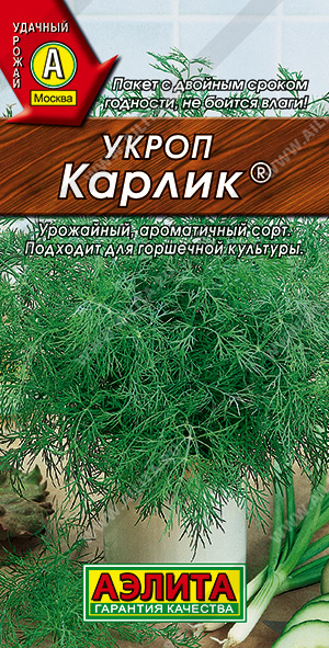 Укроп Карлик 3г "Аэлита"