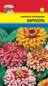 Цинния изящная Карусель, УУ