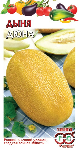 Дыня Дюна, 5шт