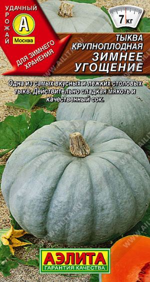 Тыква Зимнее угощение "Аэлита"