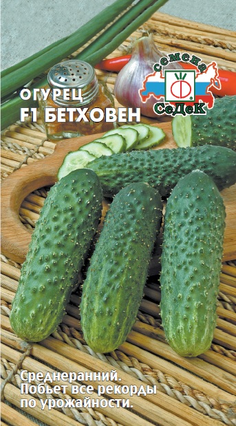 Огурец Бетховен F1 "Седек"