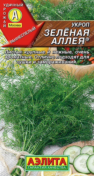 Укроп Зеленая аллея "Аэлита"