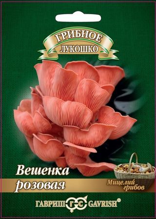 Вешенка розовая на древ. палочке 12шт