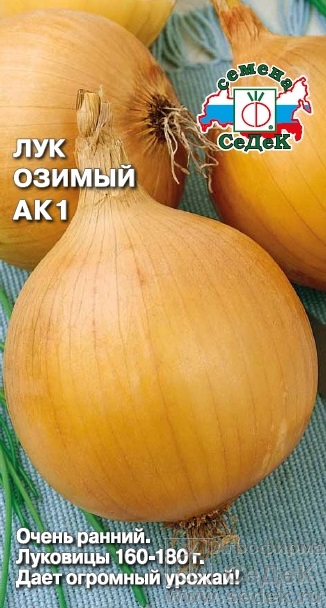 Лук репч. АК1 0,5г "Седек"
