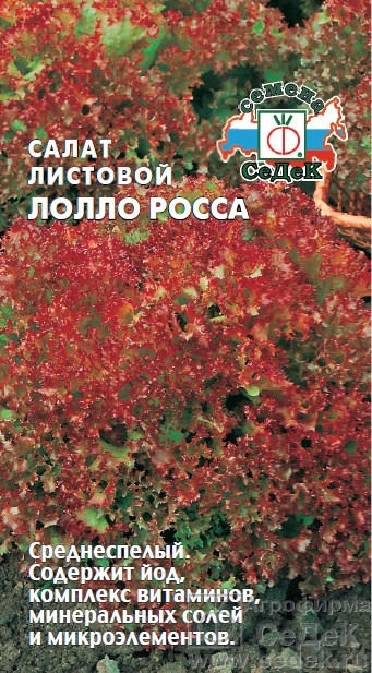 Салат Лолла Росса 0,5г "Седек"