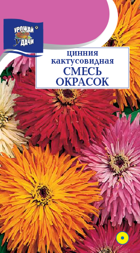 Цинния кактусовидная Золотая Антилопа, УУ