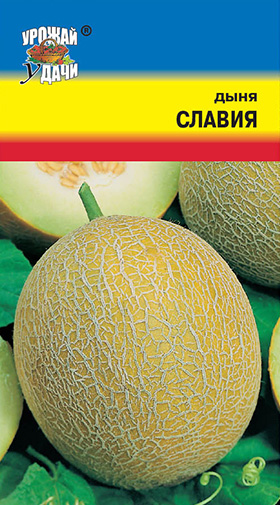 Дыня Славия УУ