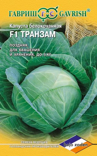 Капуста белокоч. Транзам F1, для хранения (Голландия) 10шт
