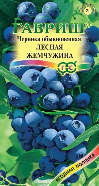 Черника обыкновенная Лесная жемчужина 30шт