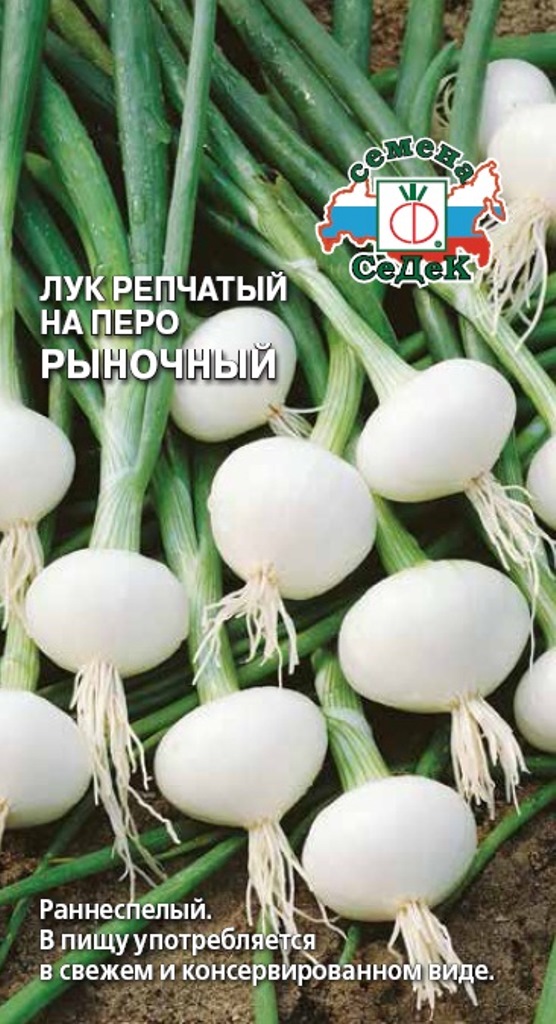 Лук на зелень Рыночный 1г "Седек"