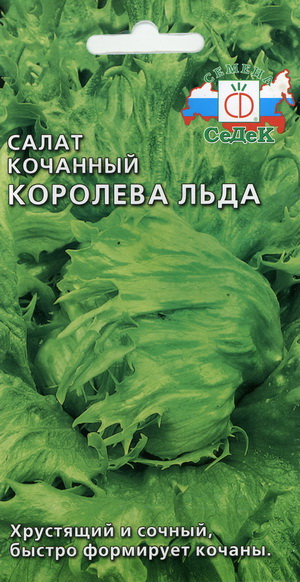 Салат Королева льда (айсберг) 0,5г "Седек"