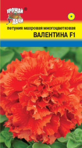 Петуния Валентина F1 УУ