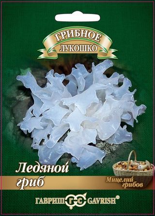 Ледяной гриб Тремелла на древесной палочке 12шт