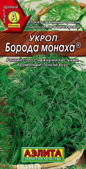 Укроп Борода монаха "Аэлита"