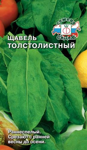 Щавель Толстолистный "Седек"
