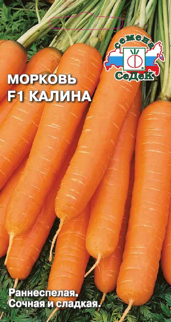 Морковь Калина F1, 1г "Седек"