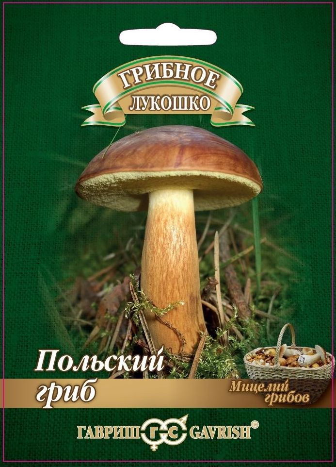Польский гриб на зерновом субстрате, 15мл