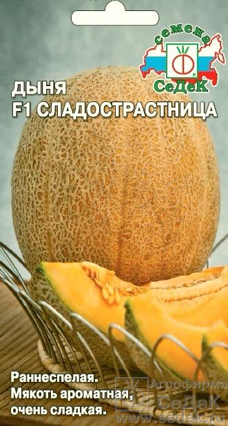 Дыня Сладострастница F1 "Седек"