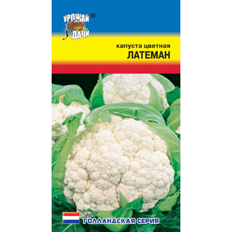Капуста цветная Латеман, УУ