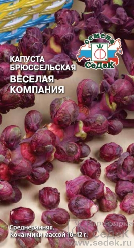 Капуста брююссел. Веселая компания "Седек"