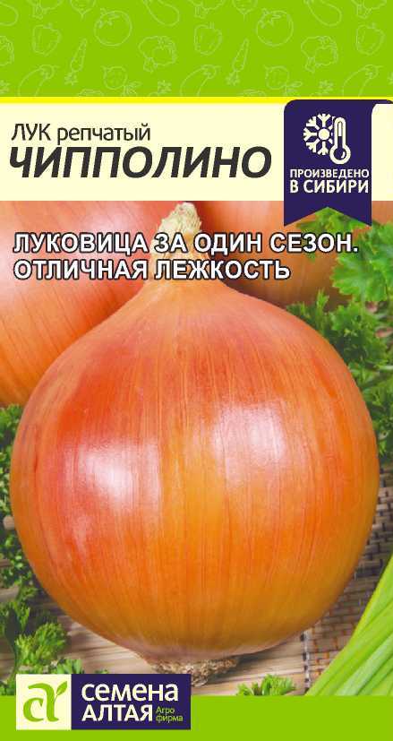 Лук репч. Чипполино 1г "Алтай"