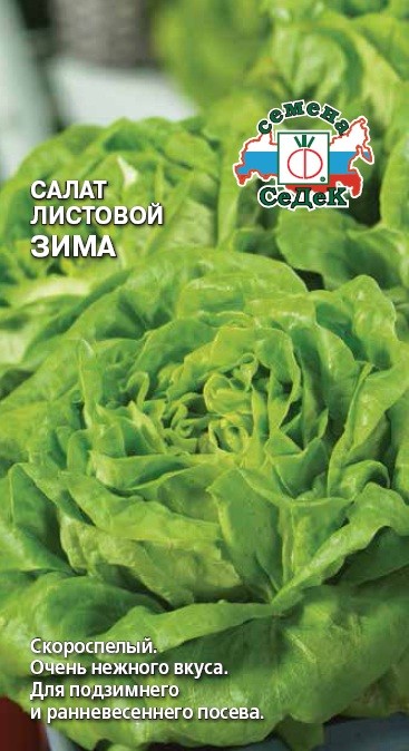 Салат Зима листовой 0,5г "Седек"