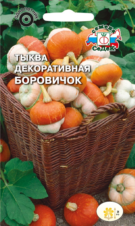 Тыква Декоративная Боровичок "Седек"