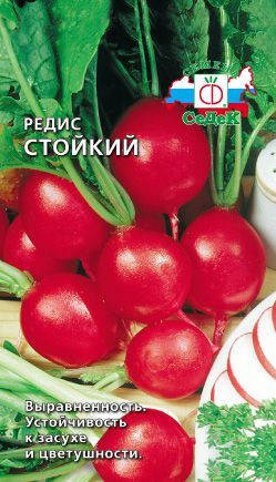 Редис Стойкий 3г "Седек"
