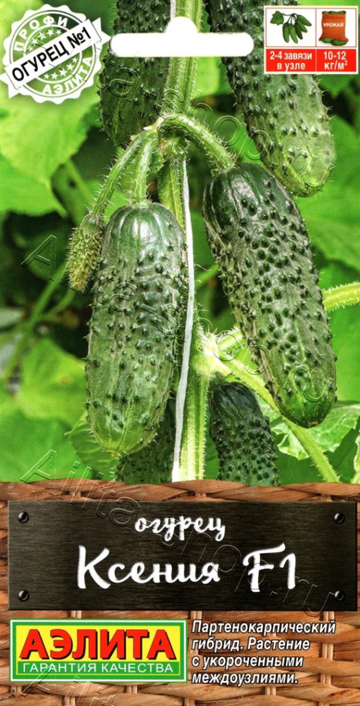 Огурец Ксения F1 "Аэлита"