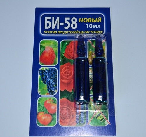БИ-58