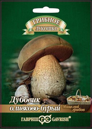 Дубовик оливково-бурый на зерновом субстрате, 15мл