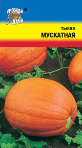 Тыква Мускатная, УУ