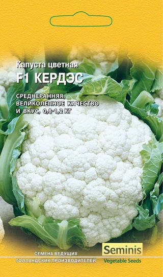 Капуста цветная Кердэс F1, (Голландия), 10шт
