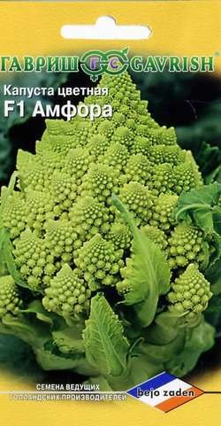 Капуста цветная Амфора, Голландия, 0,2г